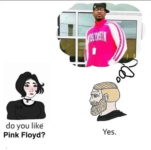 Do You Like Pink Floyd?