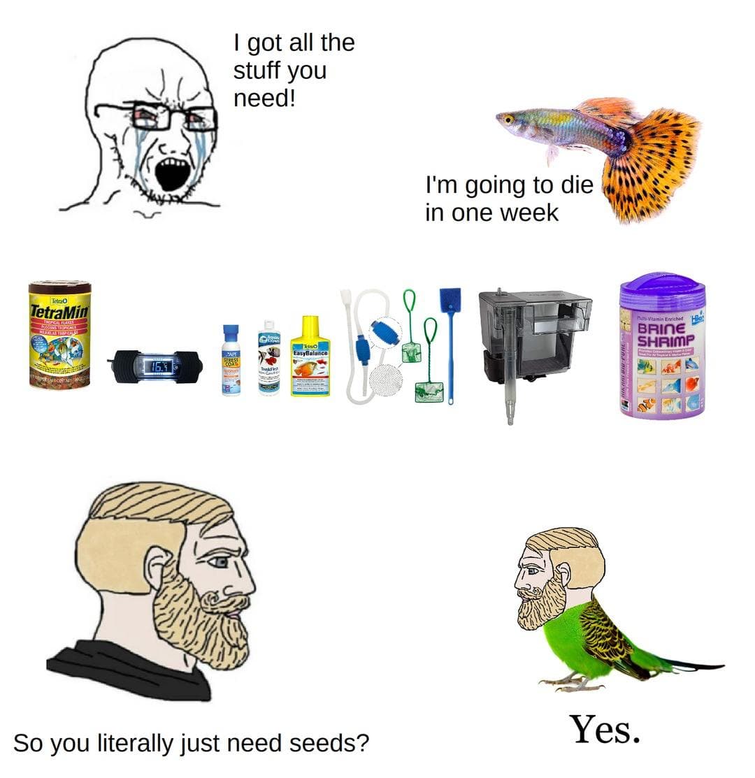 Fish Keeper Supplies vs Dying Guy