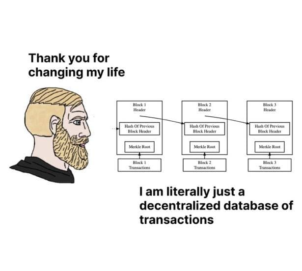 I Am Literally Just a Decentralized Database of Transactions