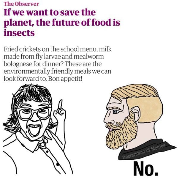 No to Insect Food